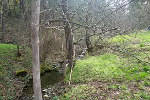 5355 Coleman Creek Rd, Medford, OR 97501 - Photo 66