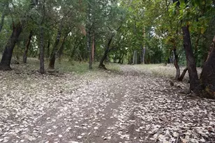 3477 Helms Rd, Grants Pass, OR 97527 - Photo 46