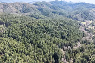 1259 Waldo Rd, O'Brien, OR 97534 - Photo 38