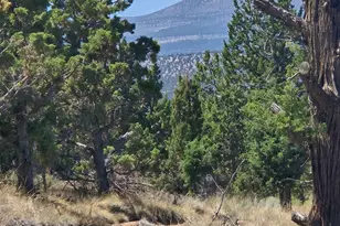 15900 SE Winchester Loop, Prineville, OR 97754 - Photo 40