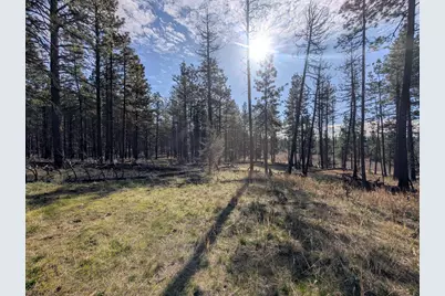 28660 Yonna Wood Road, Bonanza, OR 97623 - Photo 20