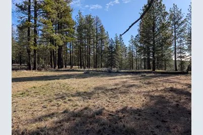 28660 Yonna Wood Road, Bonanza, OR 97623 - Photo 6