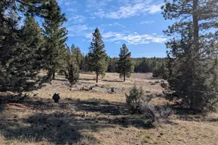 28660 Yonna Wood Rd, Bonanza, OR 97623 - Photo 1