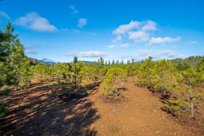 499 Laurel Road, Cave Junction, OR 97523 - Photo 10