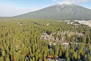 13210 Hawks Beard, Black Butte Ranch, OR 97759 - Photo 68