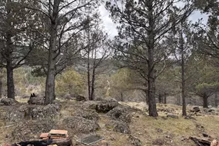 13076 Cedar Trail, Klamath Falls, OR 97603 - Photo 52