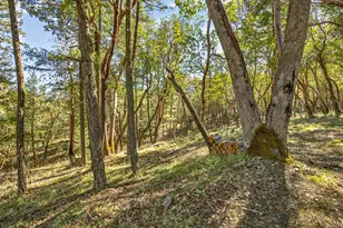 145 Lomas Rd, Jacksonville, OR 97530 - Photo 68