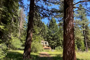 19009 Dead Indian Memorial, Ashland, OR 97520 - Photo 12