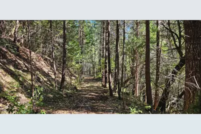 0 Caves Highway, Cave Junction, OR 97523 - Photo 12