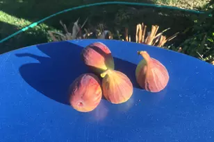 100 Christian Ave, Talent, OR 97540 - Photo 22