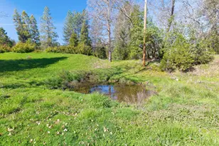 885 Plumtree Ln, Grants Pass, OR 97526 - Photo 46