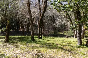 24524 Redwood Hwy, Kerby, OR 97531 - Photo 30