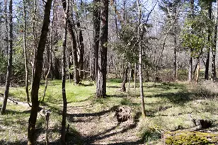 24524 Redwood Hwy, Kerby, OR 97531 - Photo 6