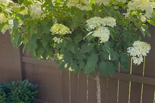 3137 Northeast Flagstone Avenue, Bend, OR 97701 - Photo 48