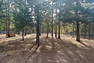 146514 Bills Rd, Gilchrist, OR 97737 - Photo 26