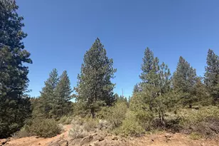 18575 SW Century, Bend, OR 97702 - Photo 30