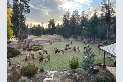 55635 Gatehouse Lane, Bend, OR 97707 - Photo 52