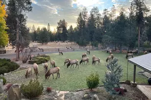 55635 Gatehouse Ln, Bend, OR 97707 - Photo 52