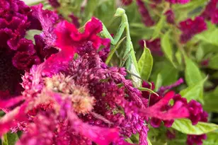 404 Lindilu Ln, Cave Junction, OR 97523 - Photo 58