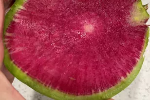 404 Lindilu Ln, Cave Junction, OR 97523 - Photo 50