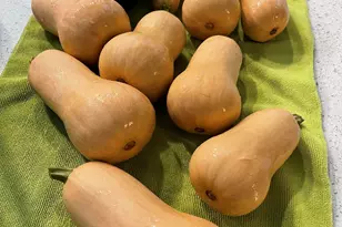 404 Lindilu Ln, Cave Junction, OR 97523 - Photo 52