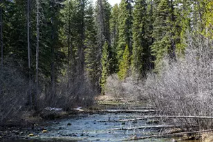 17717 Hwy 58, Crescent Lake, OR 97733 - Photo 44