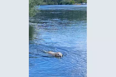 916 Ferry Road, Grants Pass, OR 97526 - Photo 52