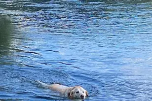 916 Ferry Rd, Grants Pass, OR 97526 - Photo 52