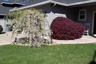 3059 Sycamore Wy, Medford, OR 97504 - Photo 2