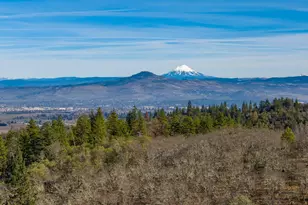 80 Placer Hill Dr, Jacksonville, OR 97530 - Photo 132