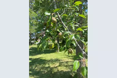 61900 Anker Lane, Bend, OR 97702 - Photo 68