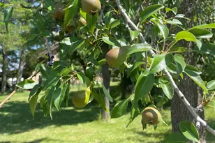 61900 Anker Ln, Bend, OR 97702 - Photo 68