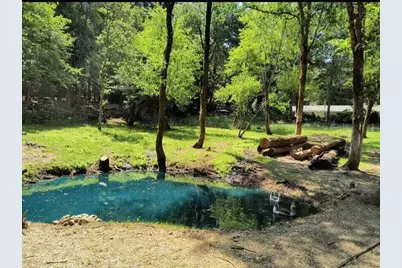 101 Cascade Drive, Cave Junction, OR 97523 - Photo 12