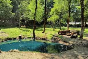 101 Cascade Dr, Cave Junction, OR 97523 - Photo 12