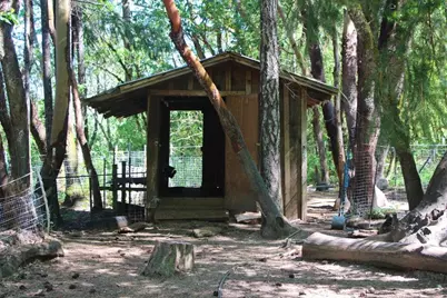 101 Cascade Drive, Cave Junction, OR 97523 - Photo 16