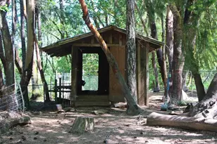 101 Cascade Dr, Cave Junction, OR 97523 - Photo 16