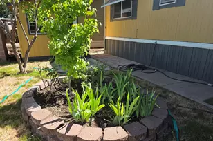 1055 N 5th St, Jacksonville, OR 97530 - Photo 28