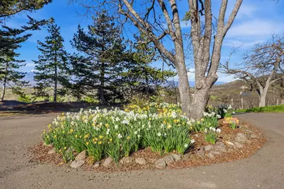 6023 Hillcrest Road, Medford, OR 97504 - Photo 60