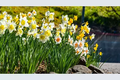 6023 Hillcrest Road, Medford, OR 97504 - Photo 76