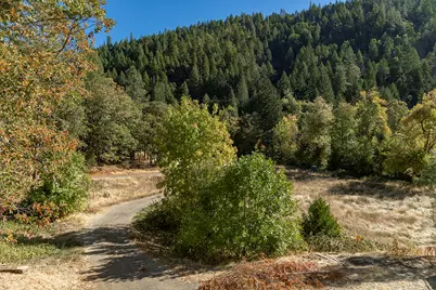 950 Bear Creek Road, Cave Junction, OR 97523 - Photo 22