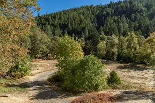 950 Bear Creek Rd, Cave Junction, OR 97523 - Photo 22