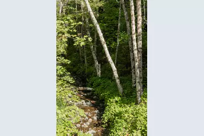 950 Bear Creek Road, Cave Junction, OR 97523 - Photo 36