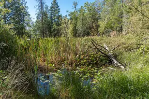 950 Bear Creek Rd, Cave Junction, OR 97523 - Photo 26