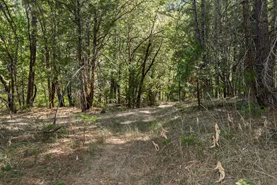 950 Bear Creek Road, Cave Junction, OR 97523 - Photo 30