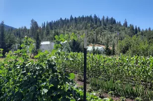 5498 Butte Falls Hwy, Eagle Point, OR 97524 - Photo 40