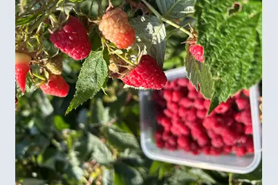 2218 SW 79th Street, Redmond, OR 97756 - Photo 50