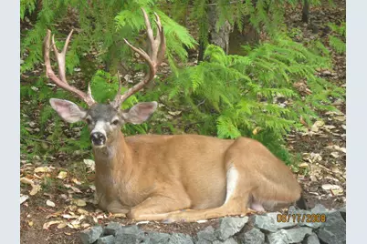 260 Highwood Lane, Grants Pass, OR 97527 - Photo 42