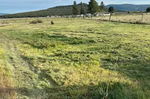 31974 Drews Rd, Sprague River, OR 97639 - Photo 18