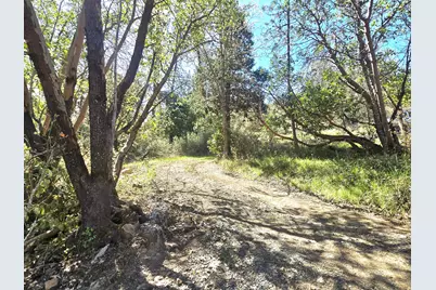 12726 Water Gap Road, Williams, OR 97544 - Photo 40
