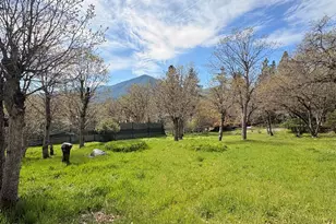 15 Twin Oaks Rd, Jacksonville, OR 97530 - Photo 28